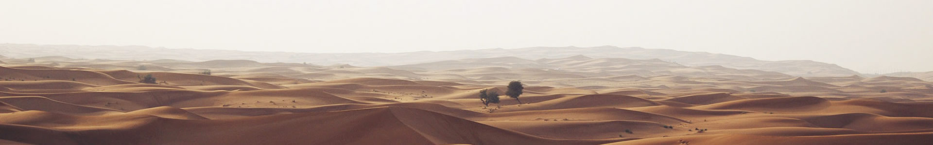 ݻʴܷ޹˾